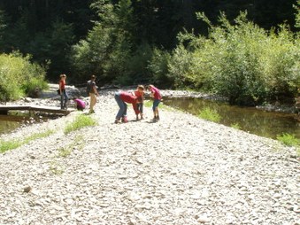 Enlarge photo 149