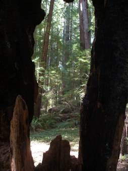 Enlarge photo 161