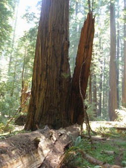 Enlarge photo 176