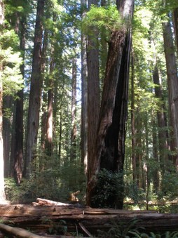 Enlarge photo 181
