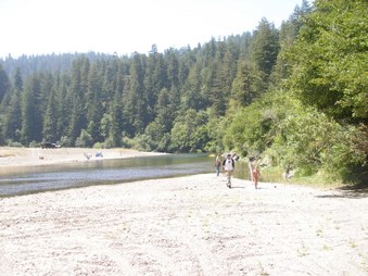 Enlarge photo 197