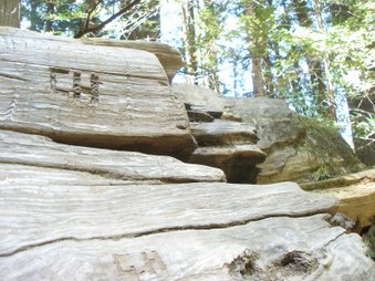 Enlarge photo 218