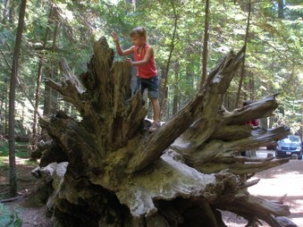 Enlarge photo 219
