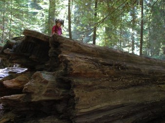 Enlarge photo 223