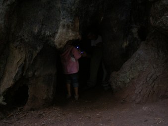 Enlarge photo 249