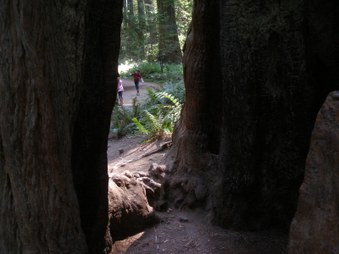 Enlarge photo 257