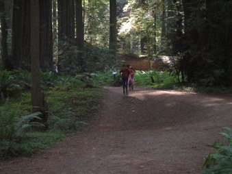 Enlarge photo 261