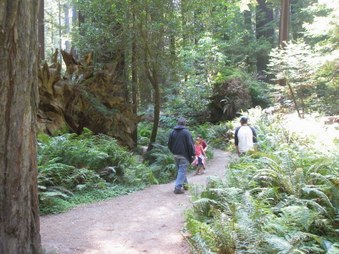 Enlarge photo 269