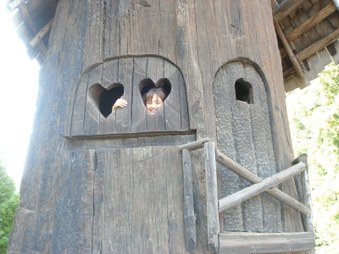 Enlarge photo 305