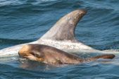 Enlarge photo 40