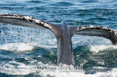 Enlarge photo 42