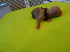 Enlarge photo 12