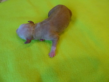 Enlarge photo 22