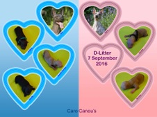 Enlarge photo 10