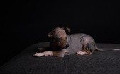 Enlarge photo 368