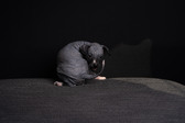 Enlarge photo 380