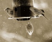 Enlarge photo 22