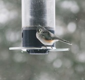 Enlarge photo 20
