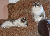 Enlarge photo 12