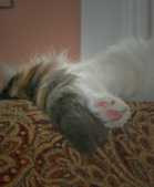 Enlarge photo 17