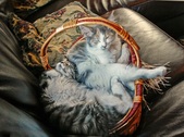 Enlarge photo 5