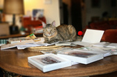 Enlarge photo 4