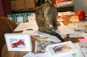 Enlarge photo 7