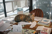 Enlarge photo 5