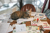 Enlarge photo 8