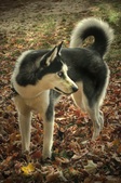 Enlarge photo 3