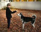 Enlarge photo 6
