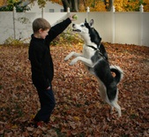 Enlarge photo 7