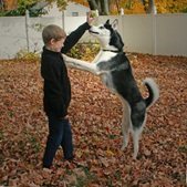 Enlarge photo 8