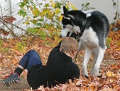 Enlarge photo 10