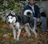 Enlarge photo 20