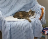 Enlarge photo 17
