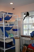 Enlarge photo 16