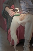 Enlarge photo 7