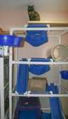 Enlarge photo 12