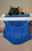 Enlarge photo 15