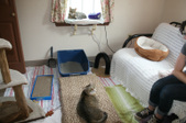 Enlarge photo 16