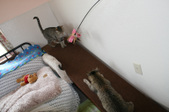 Enlarge photo 20