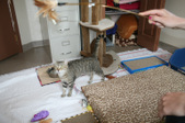Enlarge photo 23