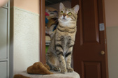 Enlarge photo 24