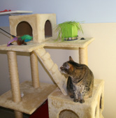 Enlarge photo 22