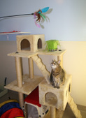 Enlarge photo 21