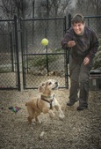 Enlarge photo 9