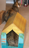 Enlarge photo 9