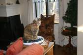 Enlarge photo 5