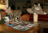 Enlarge photo 13